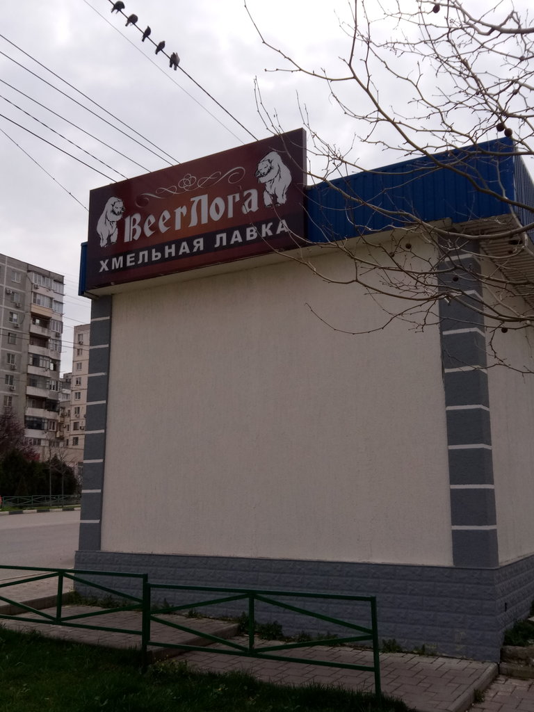 Beerлога